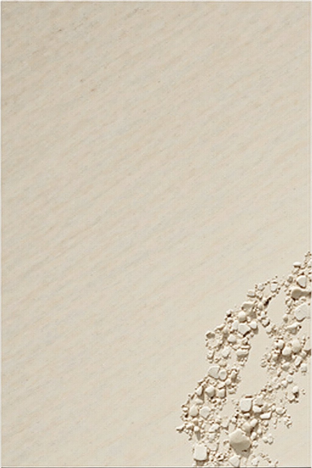 Fossil Limra limestone slab